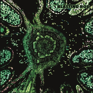 Blasting Rod - Of Wild Hazel