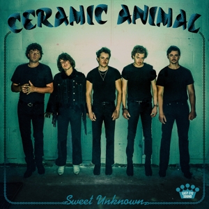 Ceramic Animal - Sweet Unknown