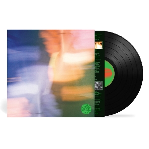 Curio Curio - Curio Curio