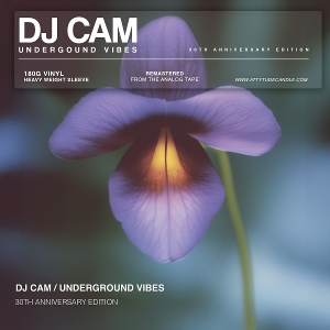 DJ Cam - Underground Vibes