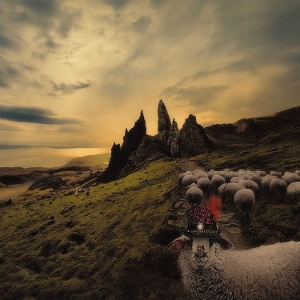 Franck Carducci - Sheeple