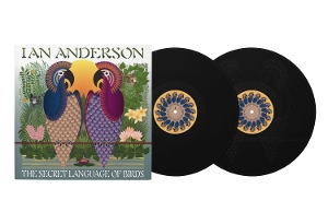 Ian Anderson - The Secret Language of Birds