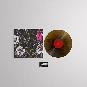 Janus Rasmussen - Inert