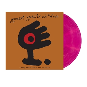 Martin Medeski& Wood - Friday Afternoon In the Universe