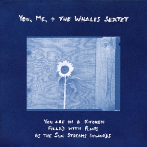 Me You - You Are In a Kitchen Filled With Plants As the Sun Streams Inwards