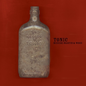 Medeski & Martin & Wood - Tonic