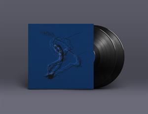 Polar Bear - Dim Lit