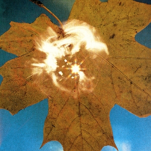 Soyuz - Force of the Wind