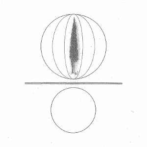 Stephen O'Malley - Spheres Collapser