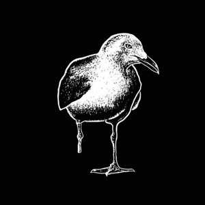Stiff Richards - State of Mind