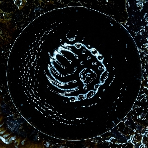 Stonus - Stonus