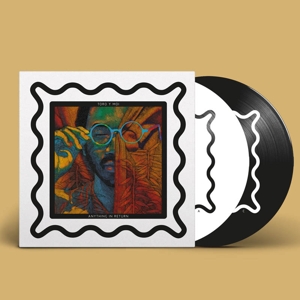 Toro Y Moi - Anything In Return