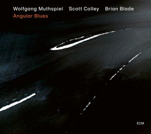 Wolfgang Muthspiel - Angular Blues
