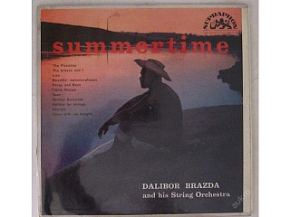 Dalibor Brázda and his string orchestra - Summertime
