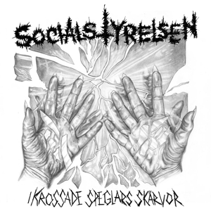 Socialstyrelsen - I Krossade Speglars Skarvor