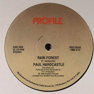 Paul Hardcastle - Rain Forest