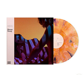 Plot In You - Swan Song