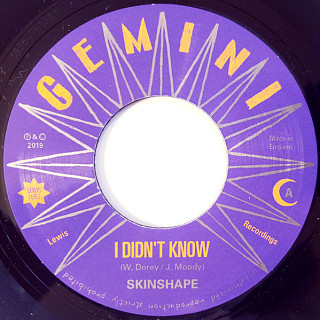 Skinshape - I Didn't Know