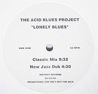 The Acid Blues Project - Lonely Blues