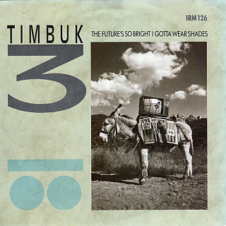 Timbuk 3 - The Future's So Bright, I Gotta Wear Shades