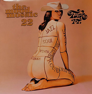 V/A - The Mood Mosaic 22