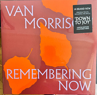 Van Morrison - Remembering Now